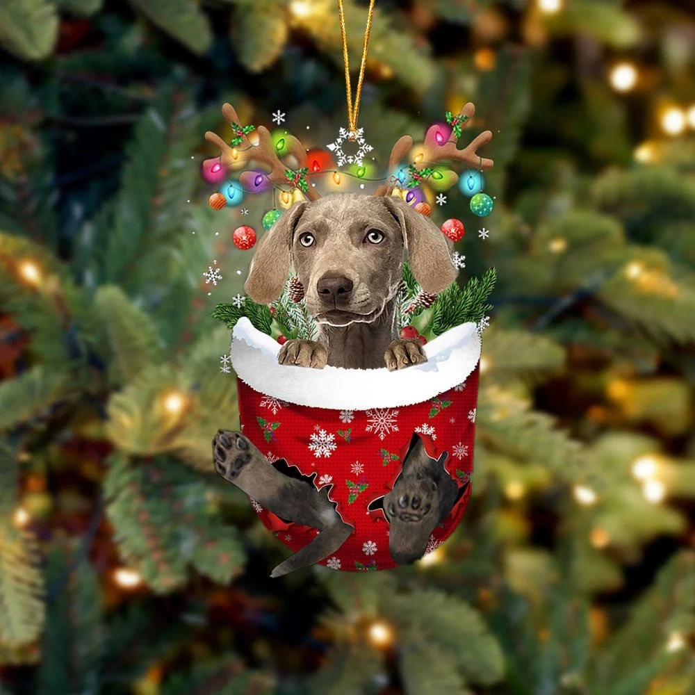 Weimaraner 2 In Snow Pocket Ornament