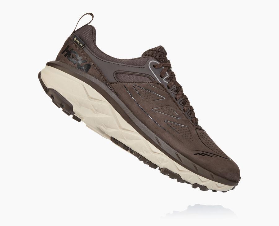 Men's Challenger Low GORE-TEX - hoka