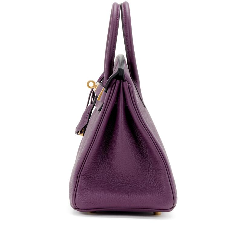 Cassis Togo Birkin 25 Gold Hardware