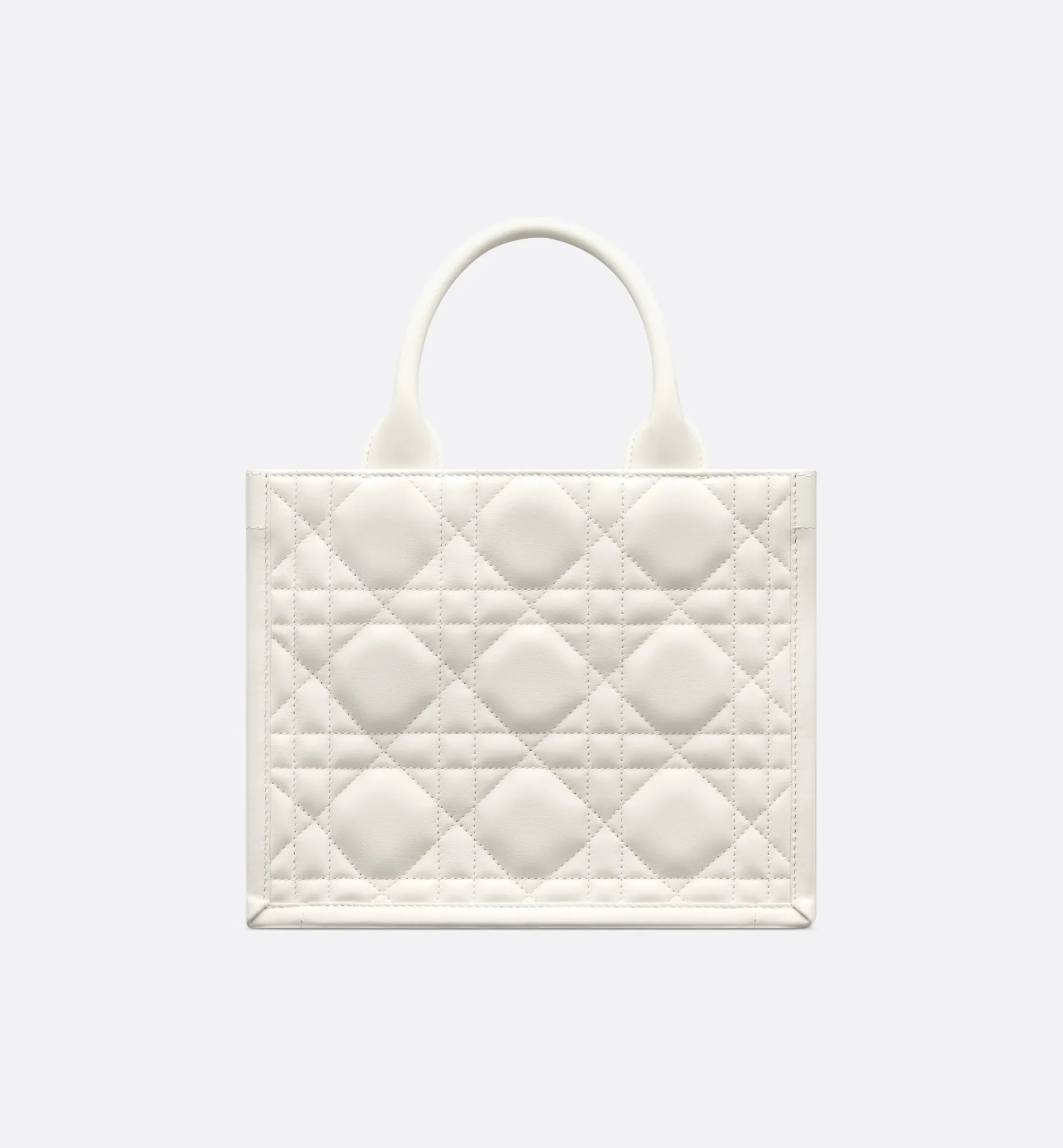 Small Dior Book Tote