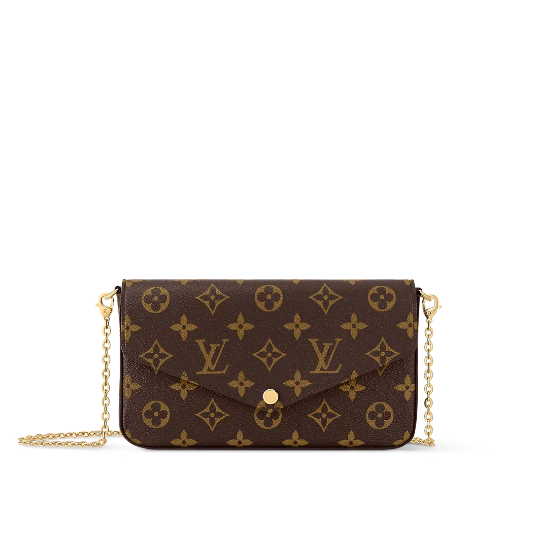 Louis Vuitton Felicie Pochette