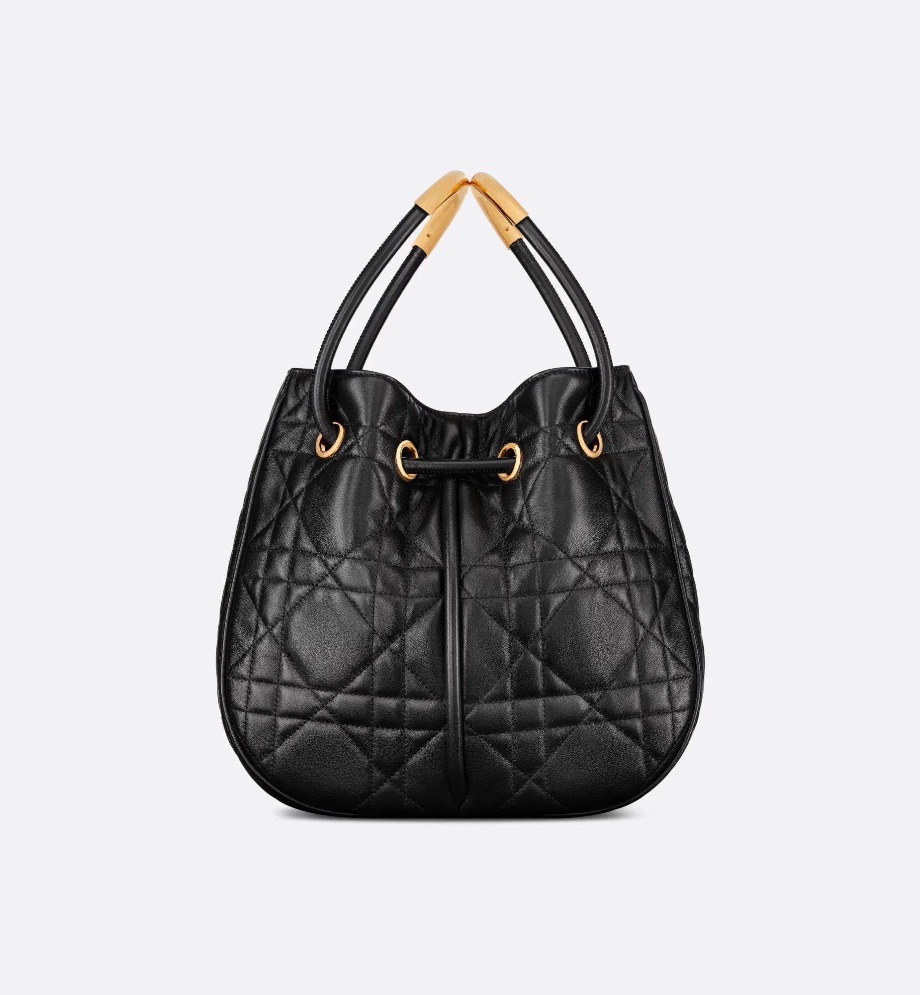 Medium Dior Nolita Bag