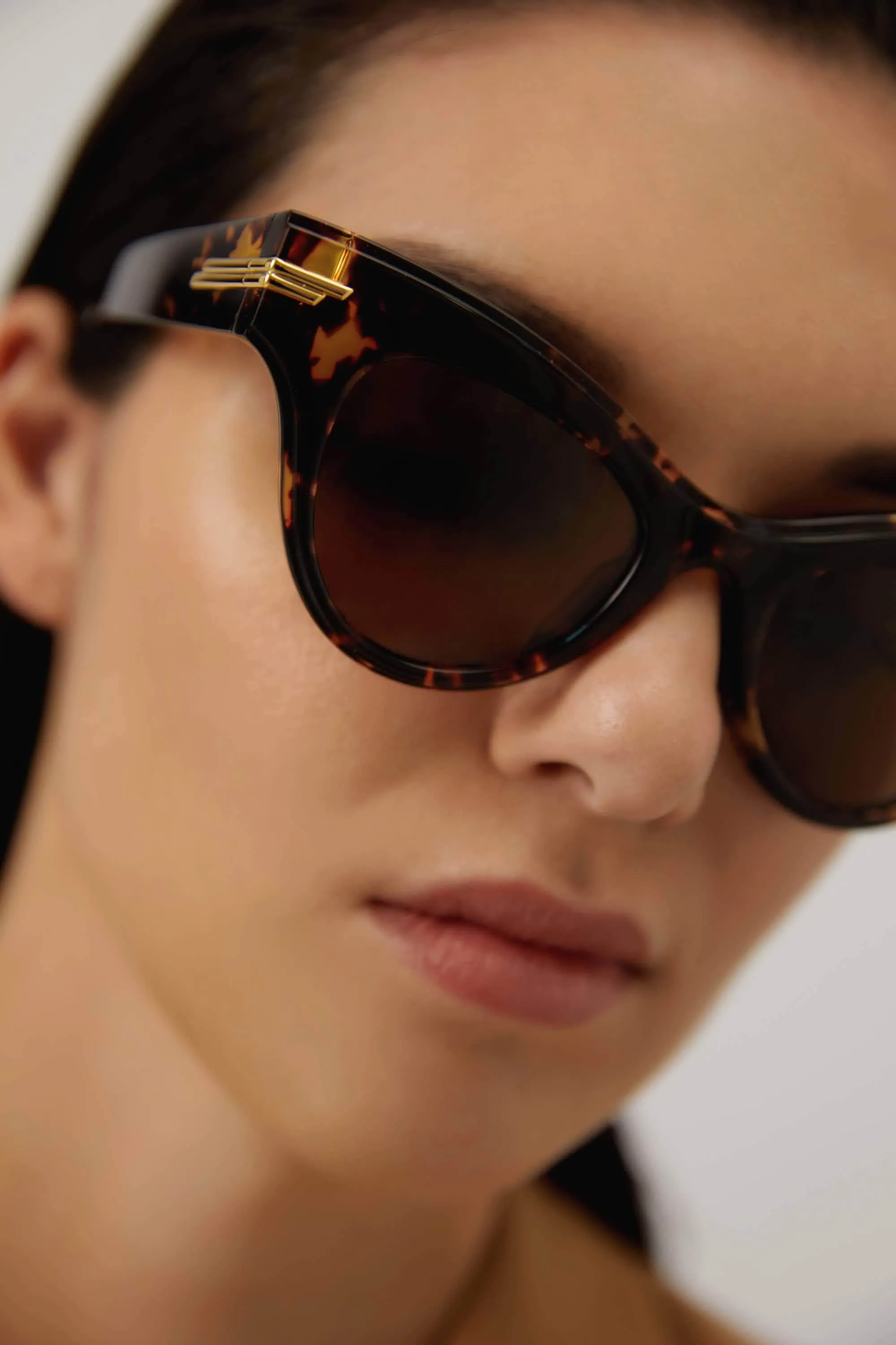 Bottega Veneta havana cat eye acetate sunglasses