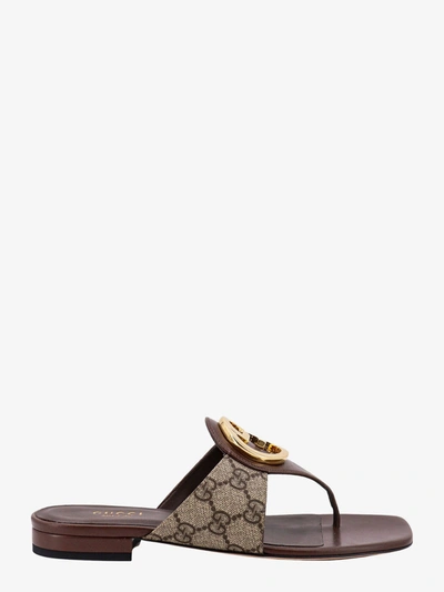 GG Canvas Blondie Sandals