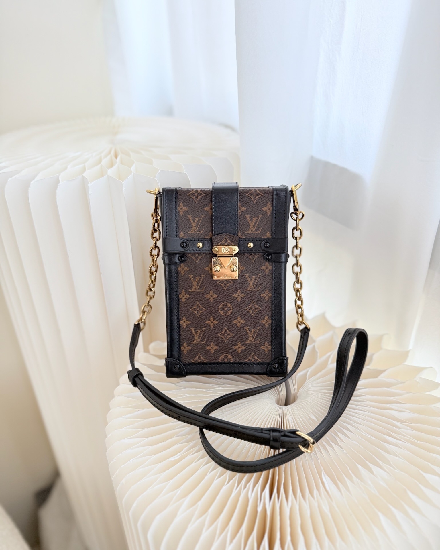 Louis Vuitton Monogram Vertical Trunk Pochette
