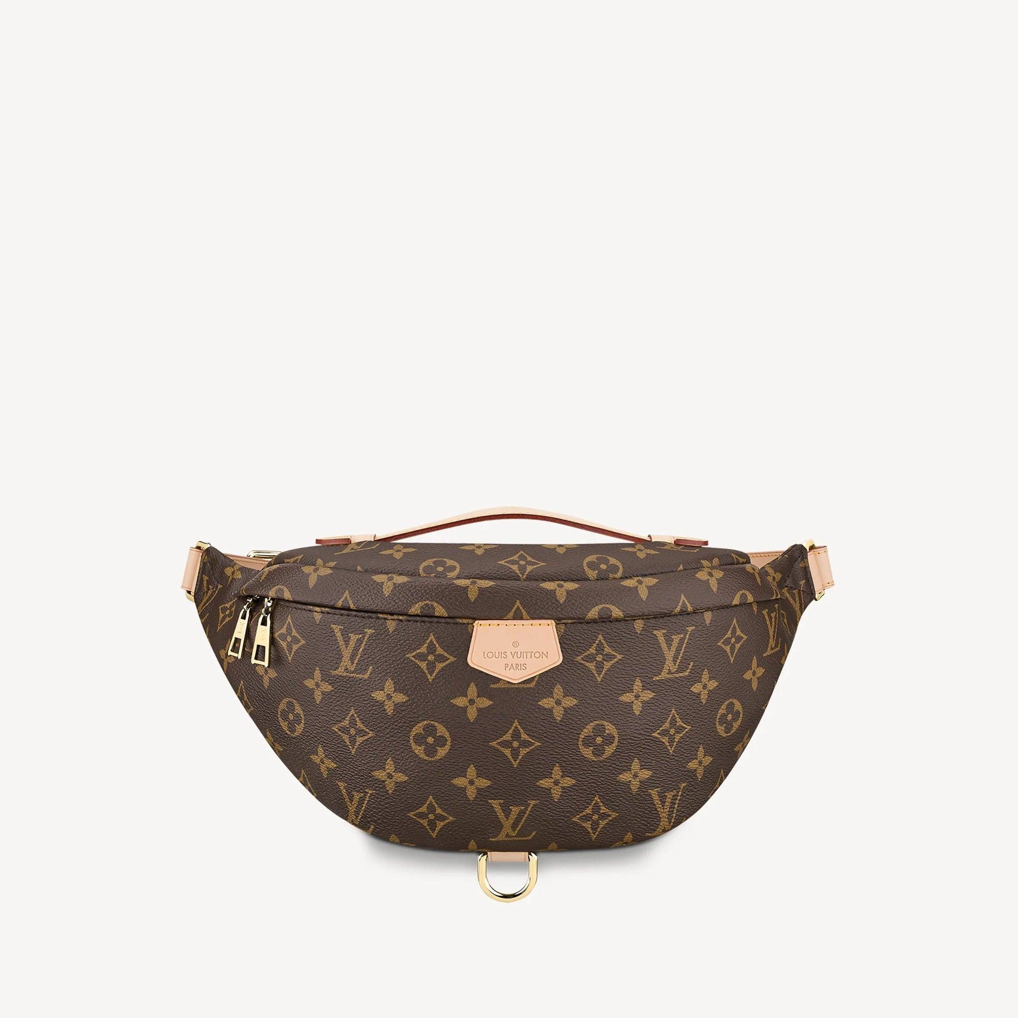 LV Monogram Bumbag