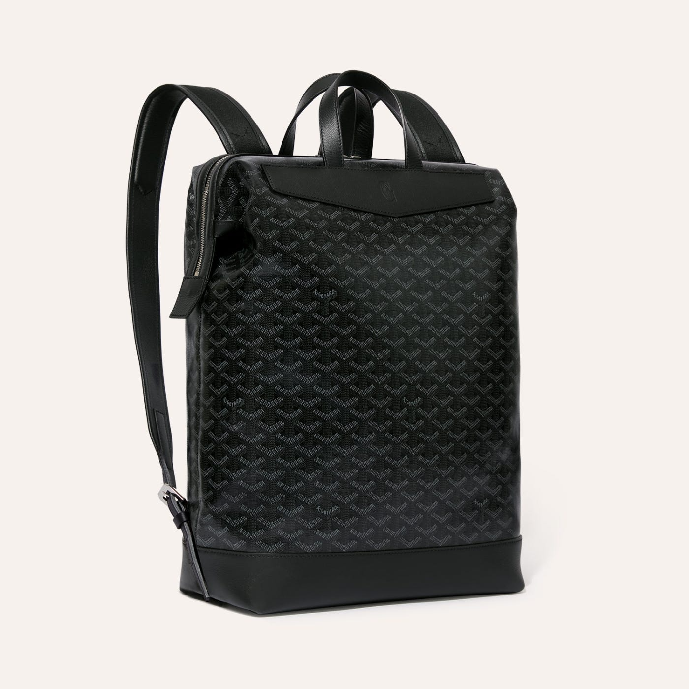 Goyard Cisalpin Backpack Jet Black