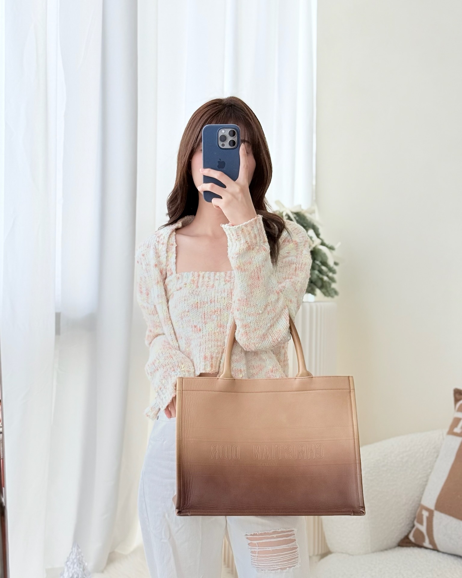 Dior Medium Book Tote Gradient Brown Calfskin