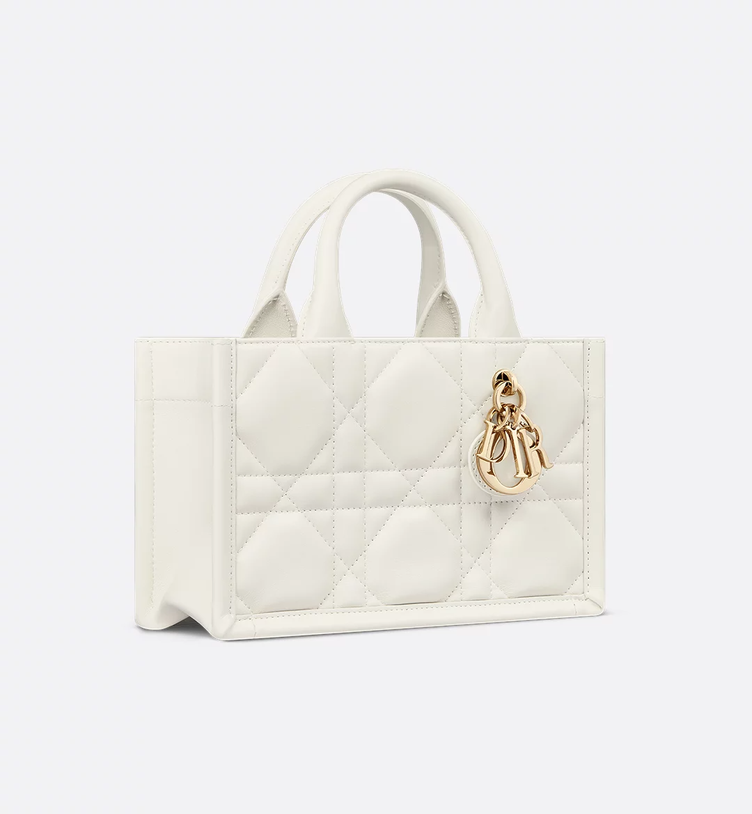 Mini Dior Book Tote