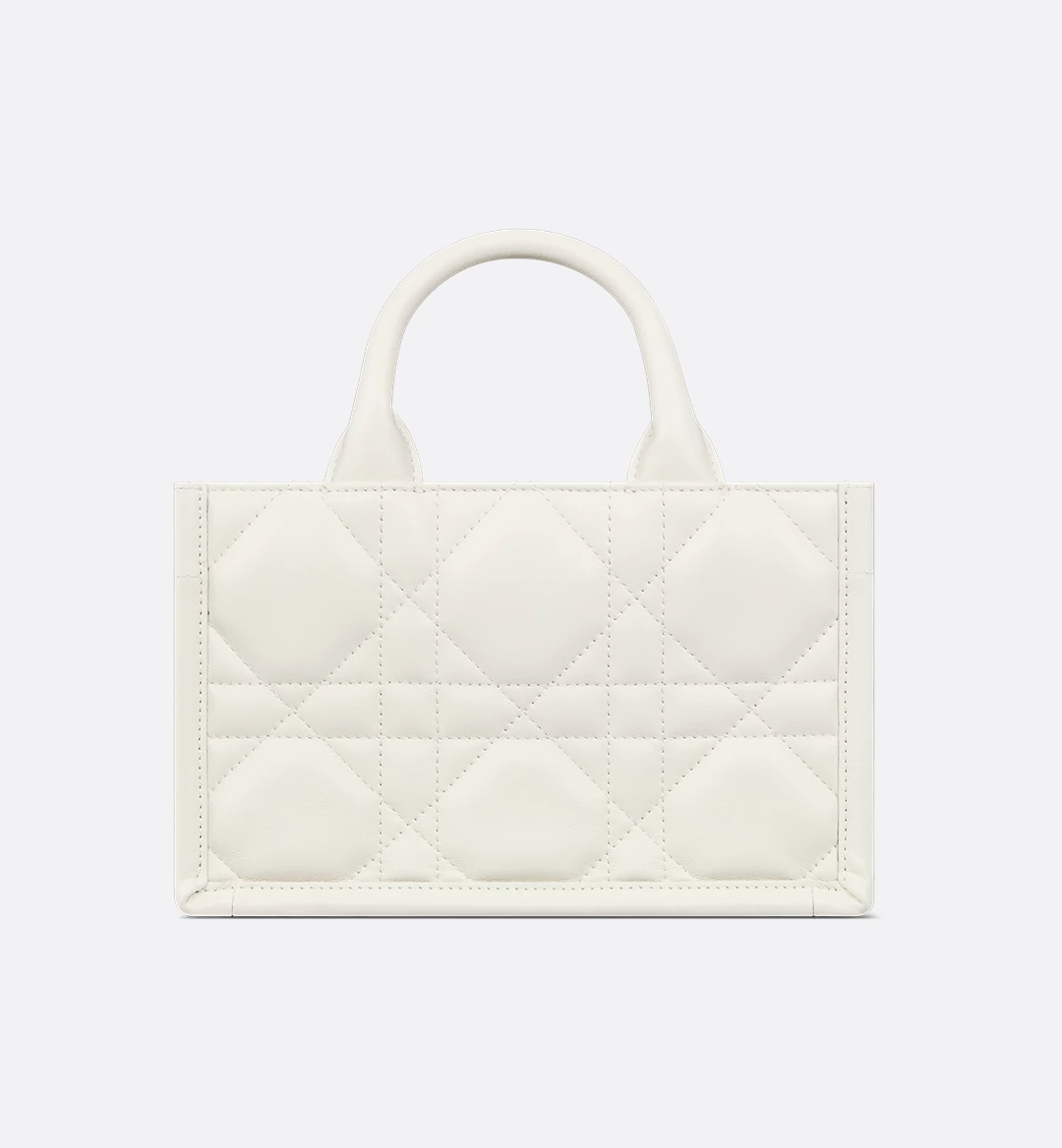 Mini Dior Book Tote