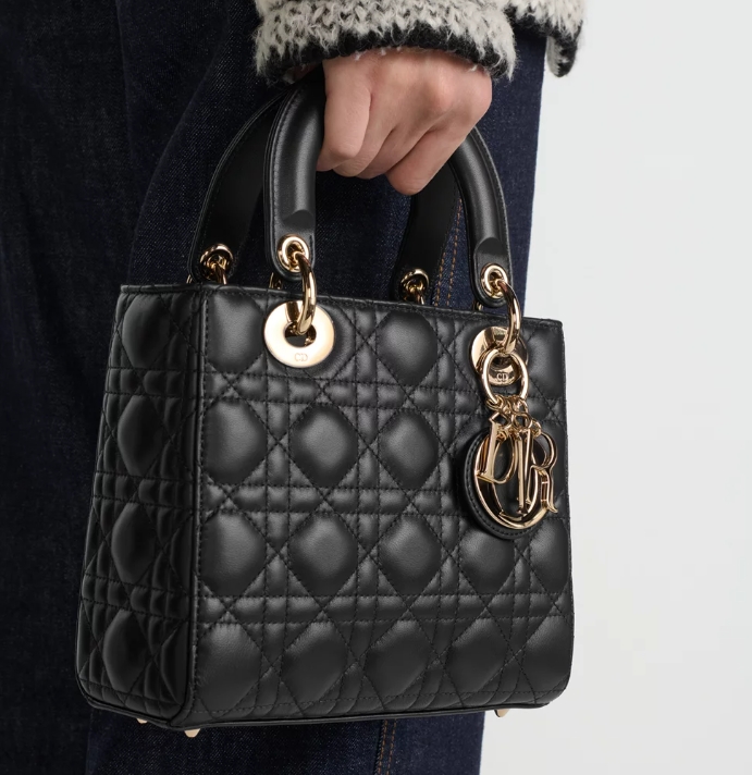 Dior Small Lady Dior My ABCDior Bag