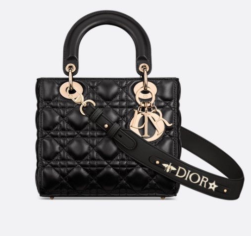 Dior Small Lady Dior My ABCDior Bag