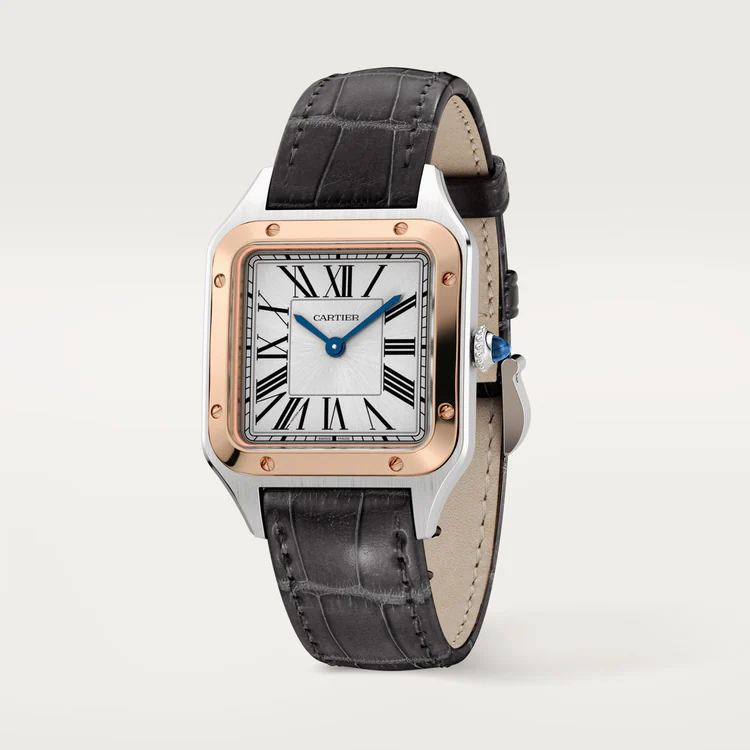 SANTOS-DUMONT Rose Gold MIx 38mm
