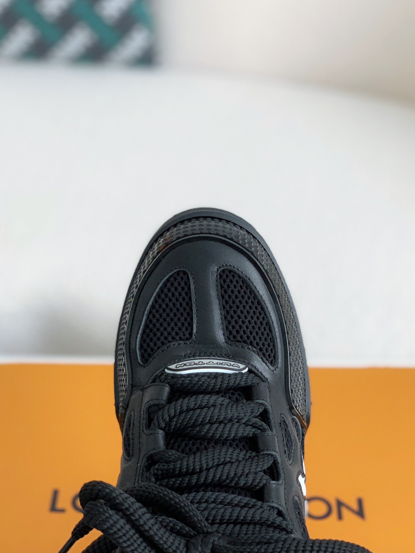 LOUIS VUITTON SKATE SNEAKERS