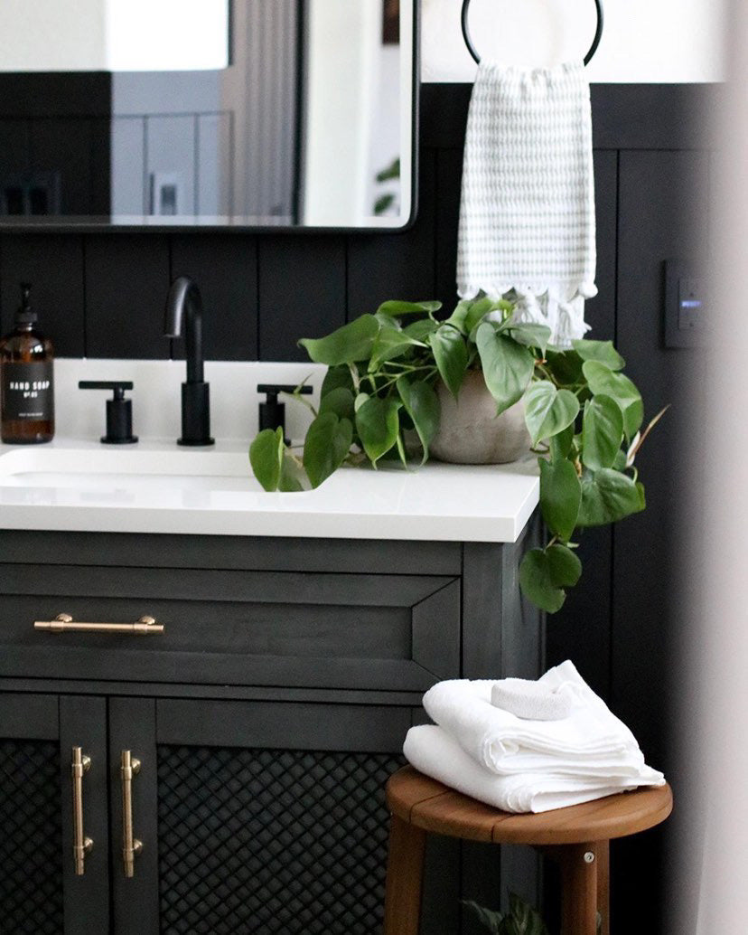 Whitewashed Terracotta Planter