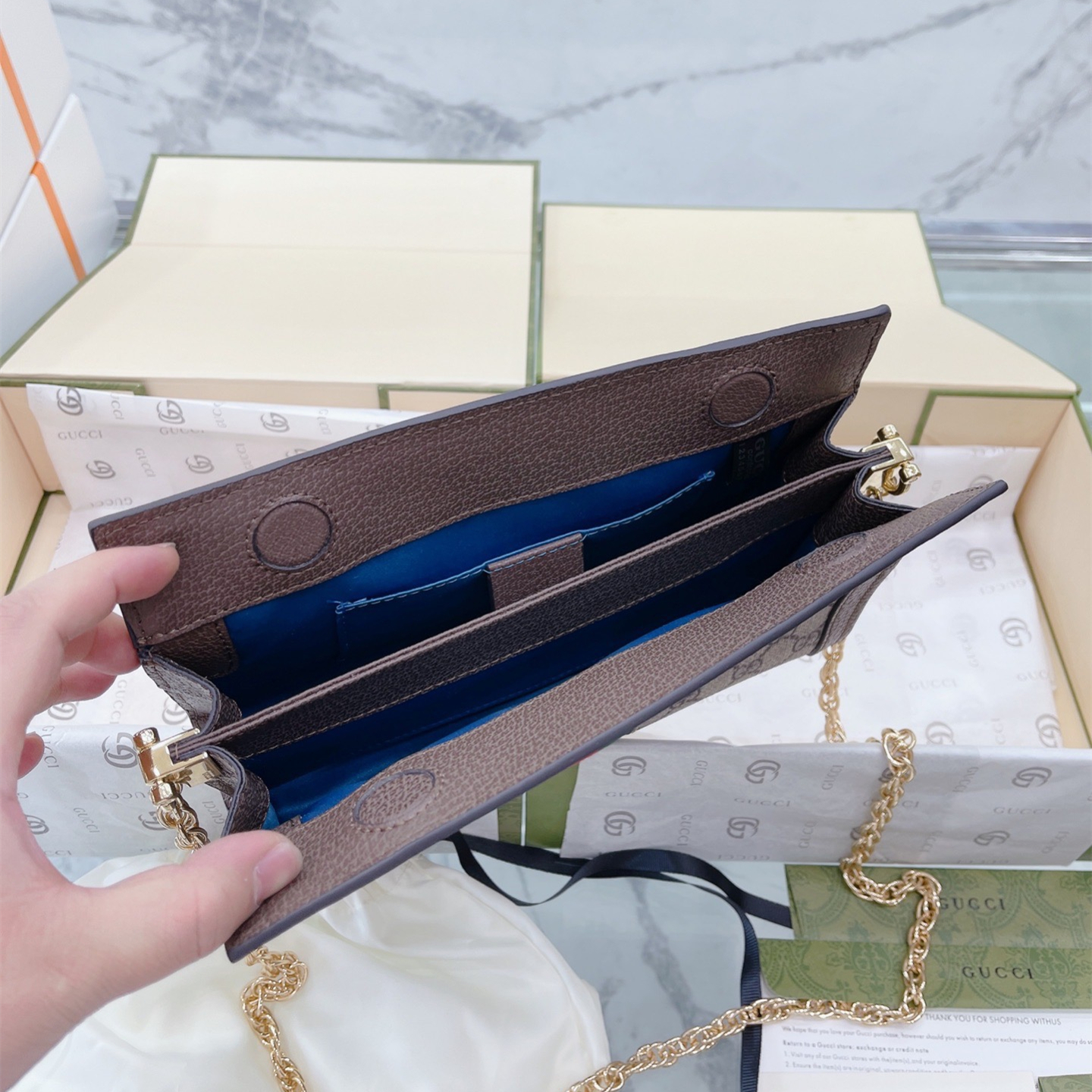 ophidia Bag Chain Bag