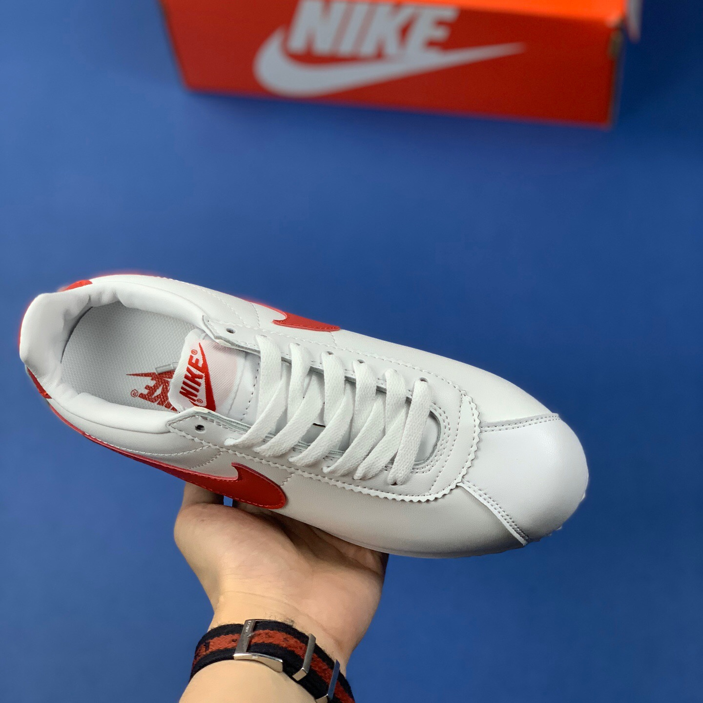 Classic Cortez Se SIZE:EU38.5-EU44