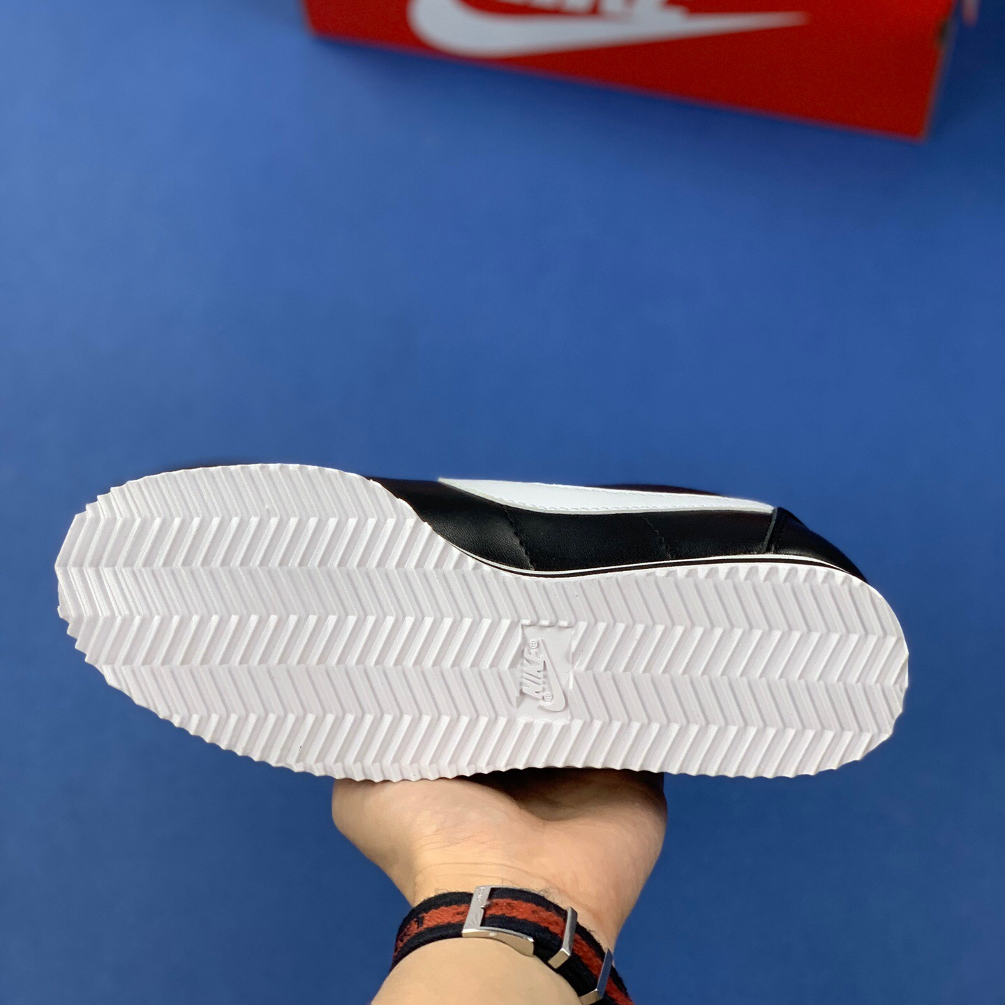 Classic Cortez Se SIZE:EU38.5-EU44