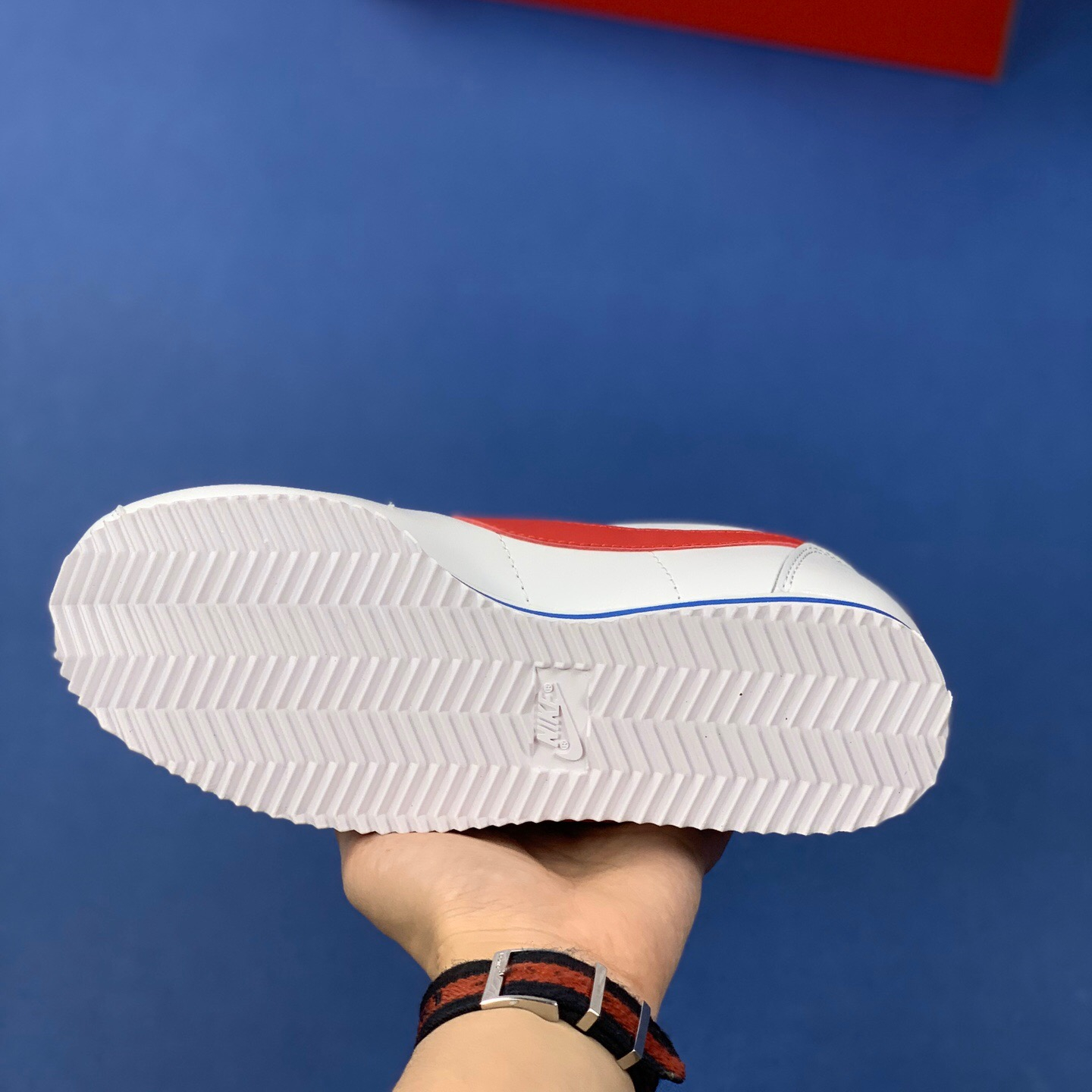 Classic Cortez Se SIZE:EU38.5-EU44