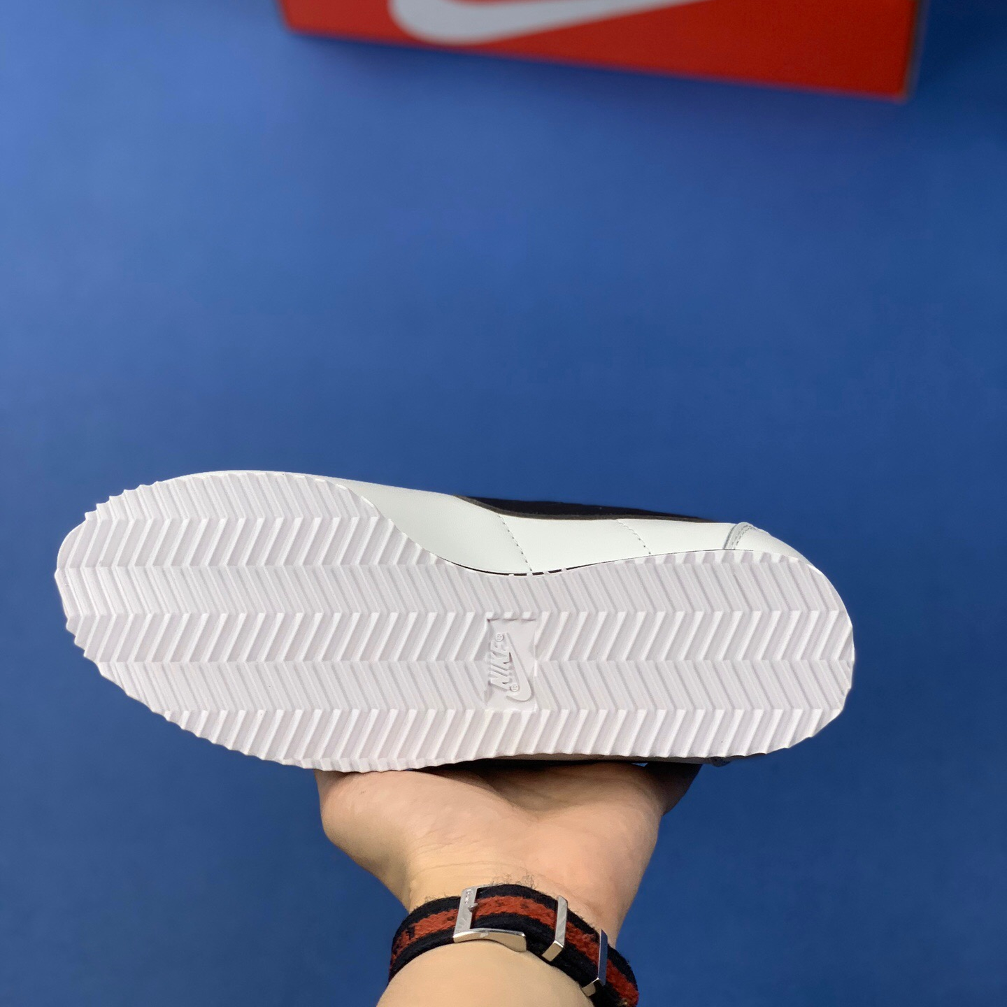 Classic Cortez Se SIZE:EU38.5-EU44