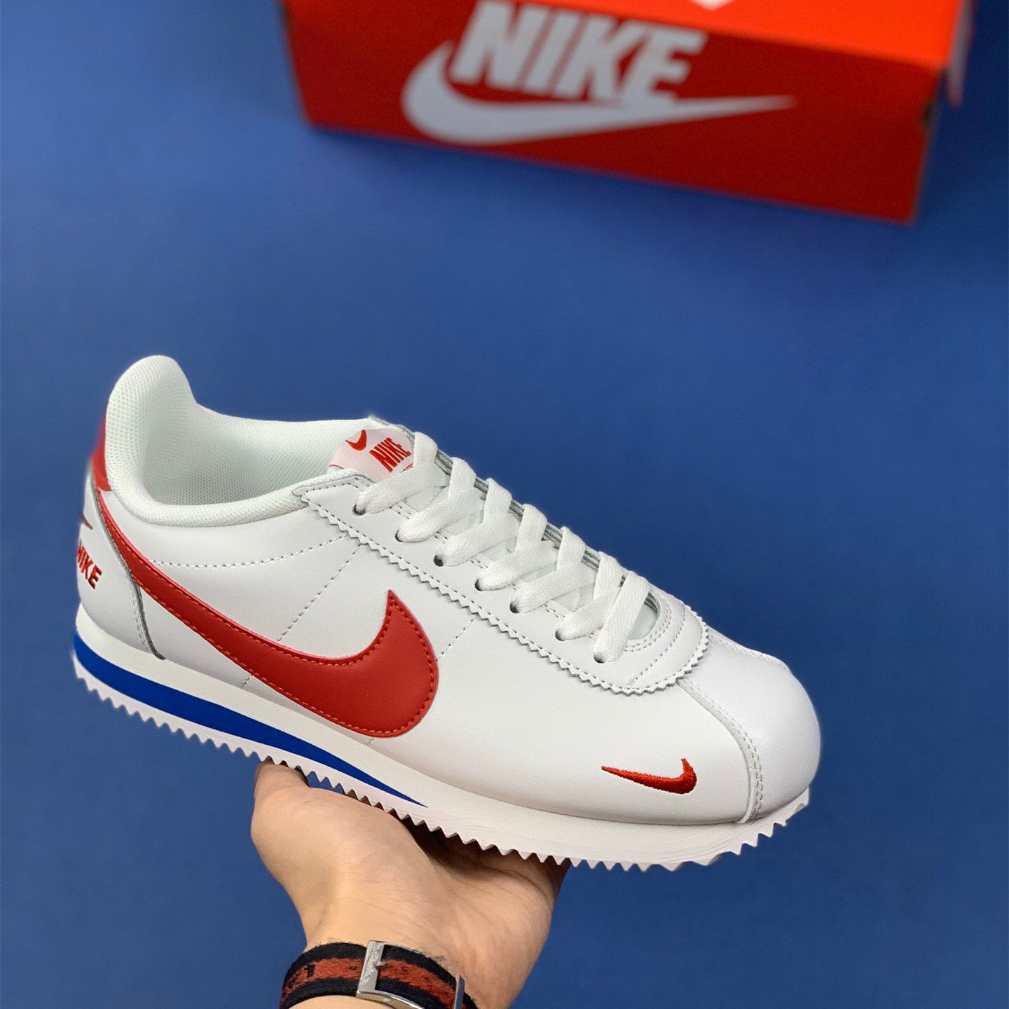 Classic Cortez Se SIZE:EU38.5-EU44