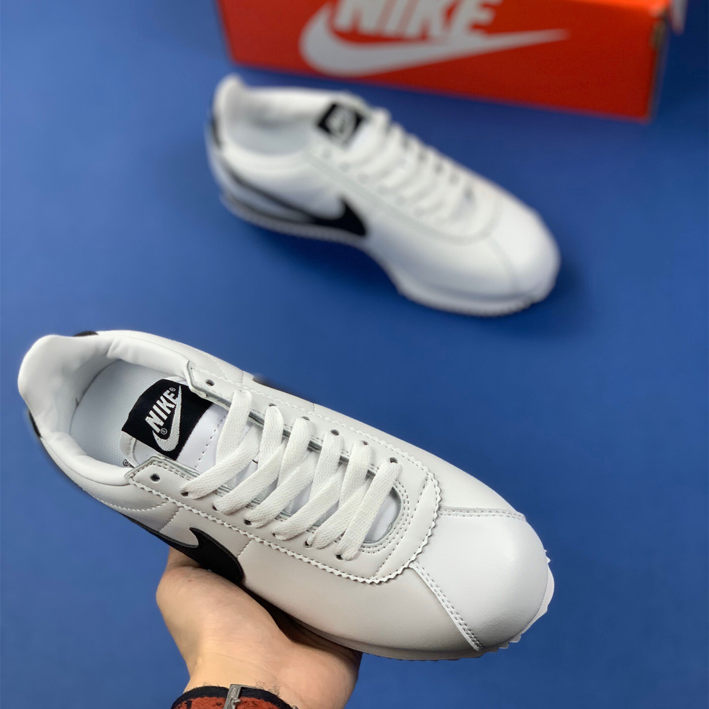 Classic Cortez Se SIZE:EU38.5-EU44