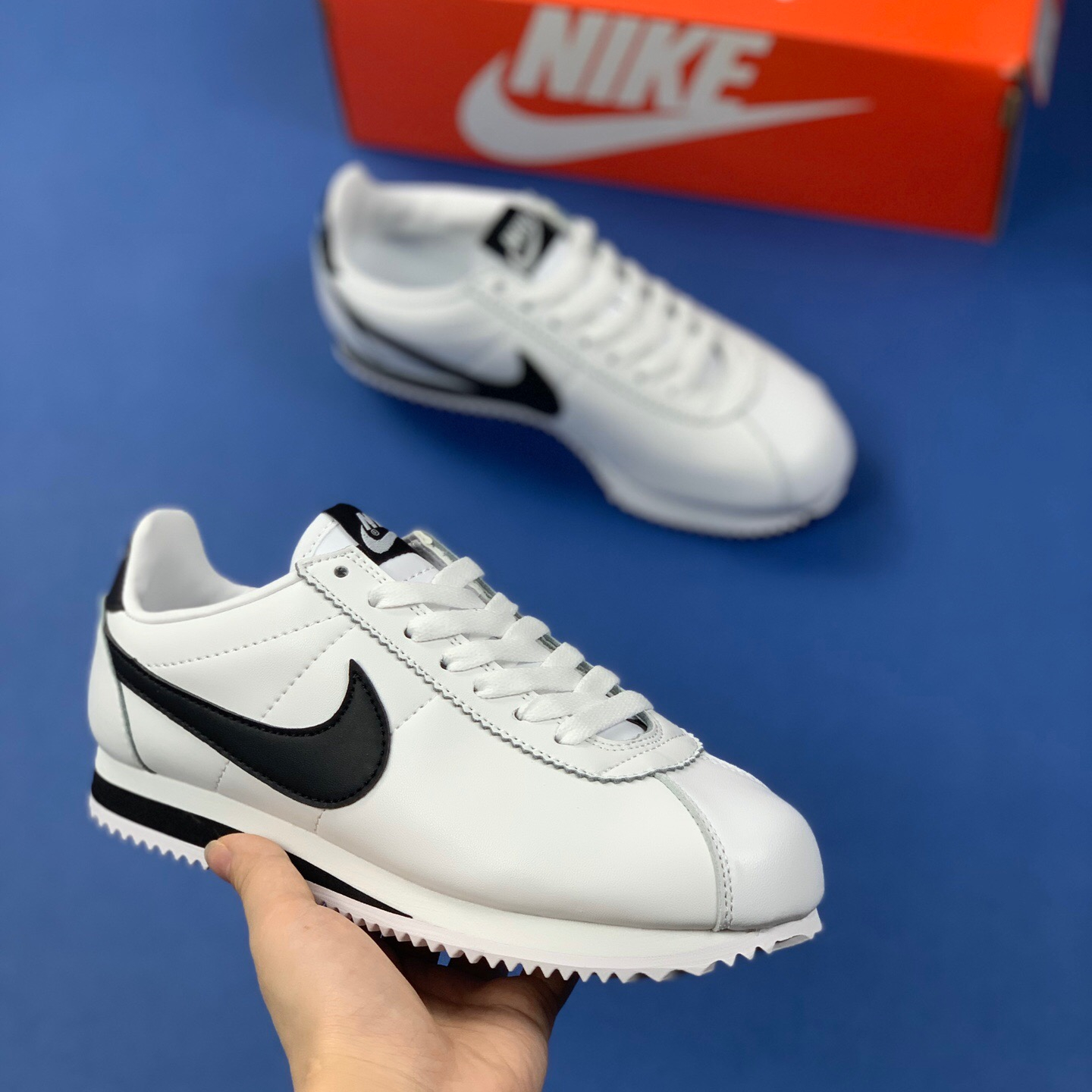 Classic Cortez Se SIZE:EU38.5-EU44
