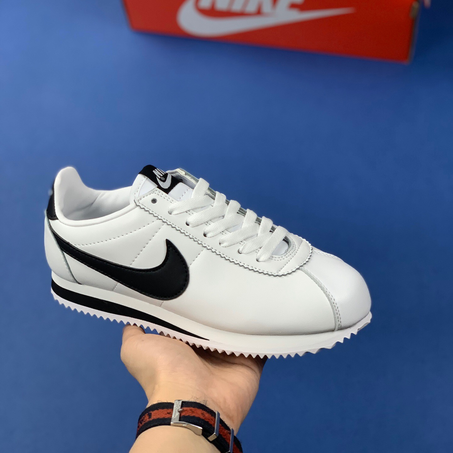 Classic Cortez Se SIZE:EU38.5-EU44