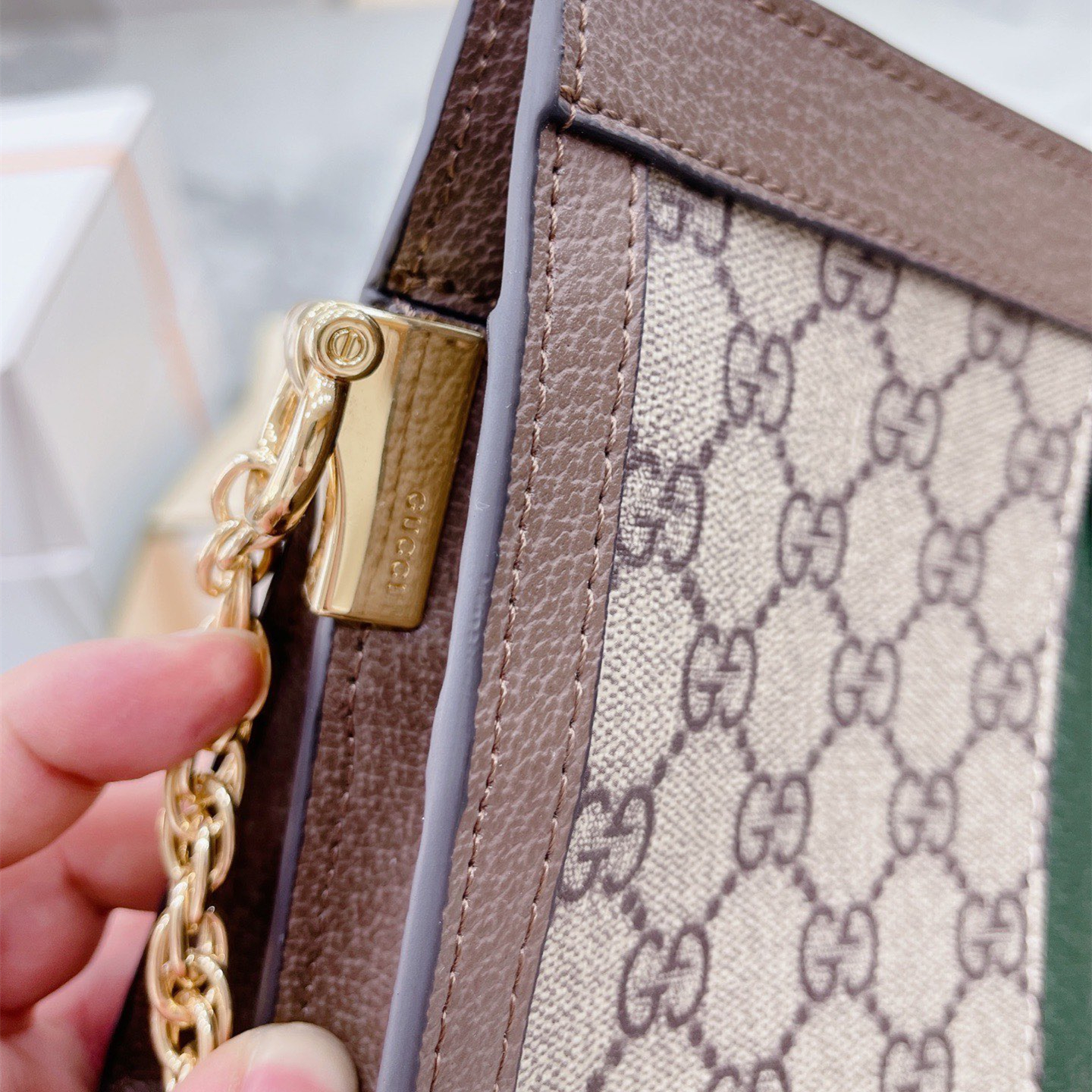 ophidia Bag Chain Bag