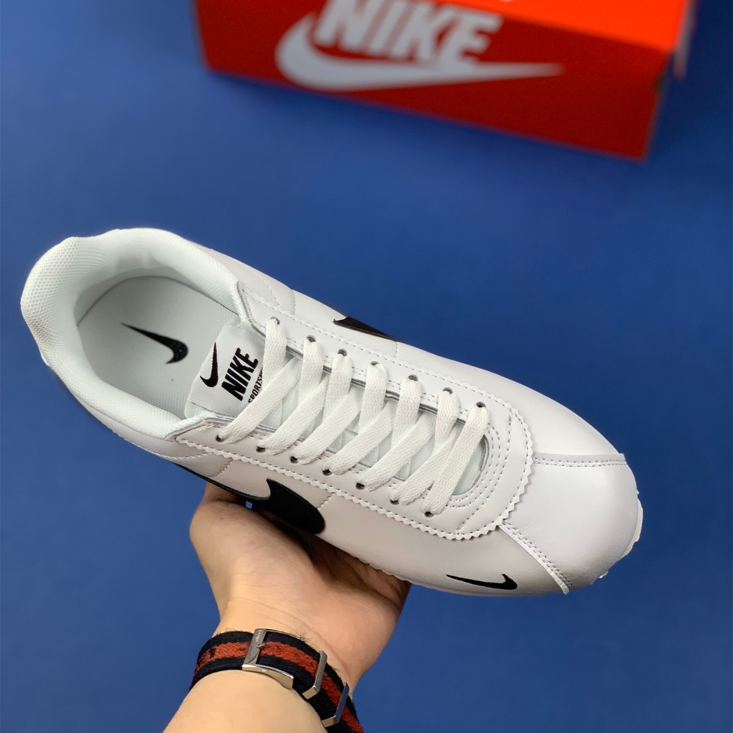 Classic Cortez Se SIZE:EU38.5-EU44