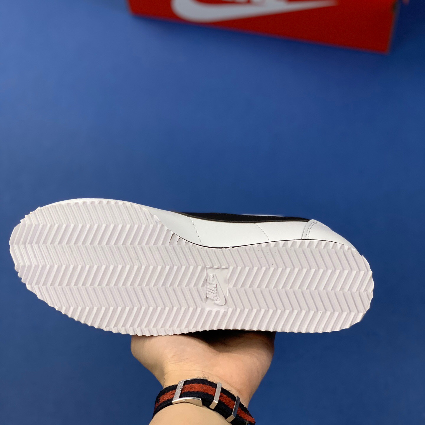 Classic Cortez Se SIZE:EU38.5-EU44