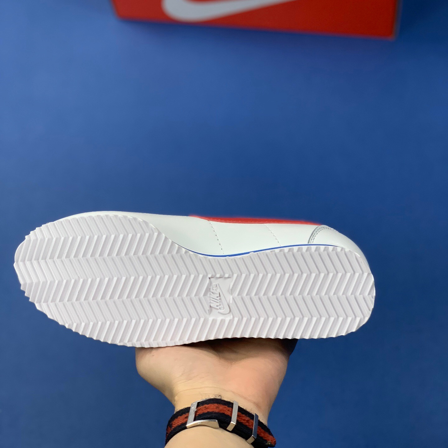 Classic Cortez Se SIZE:EU38.5-EU44