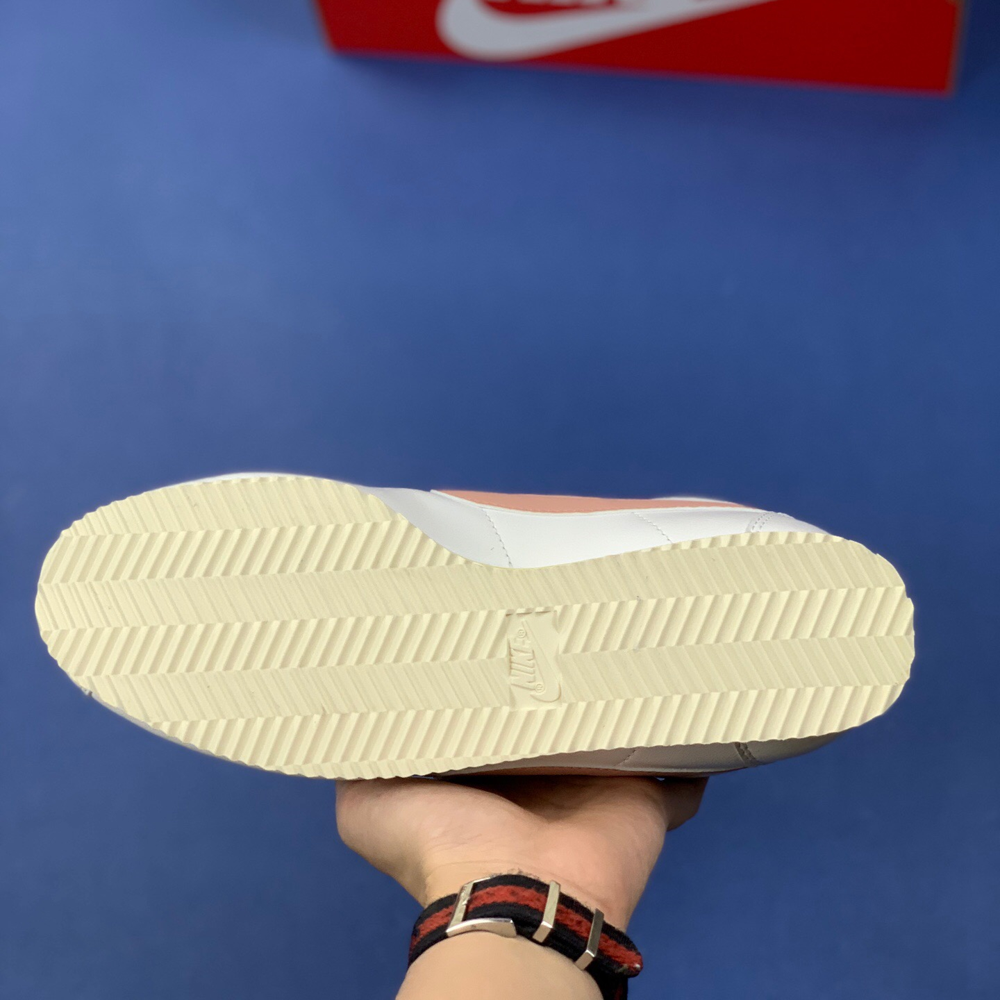 Classic Cortez Se SIZE:EU38.5-EU44