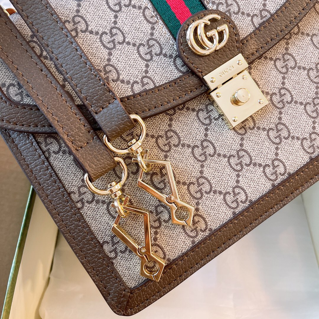 ss21 ophidia Bag Size:25cm