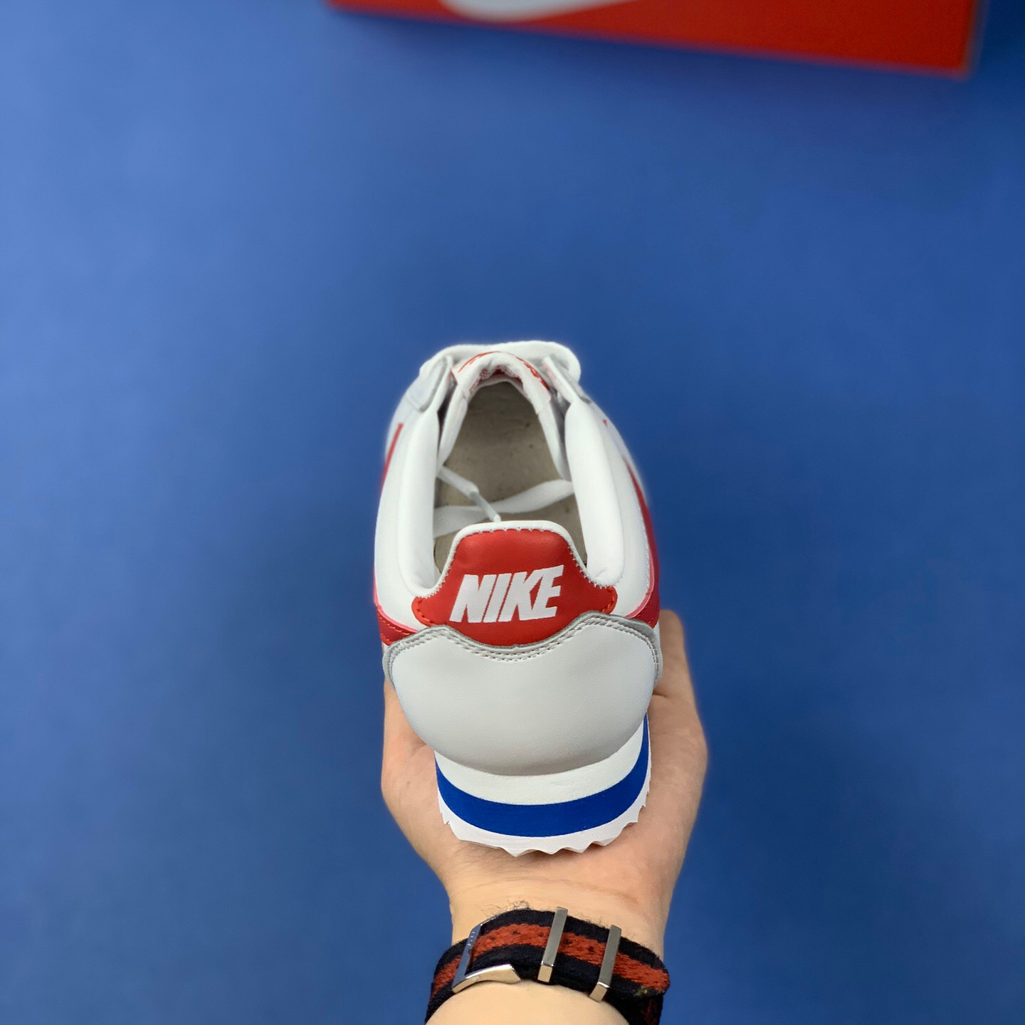 Classic Cortez Se SIZE:EU38.5-EU44