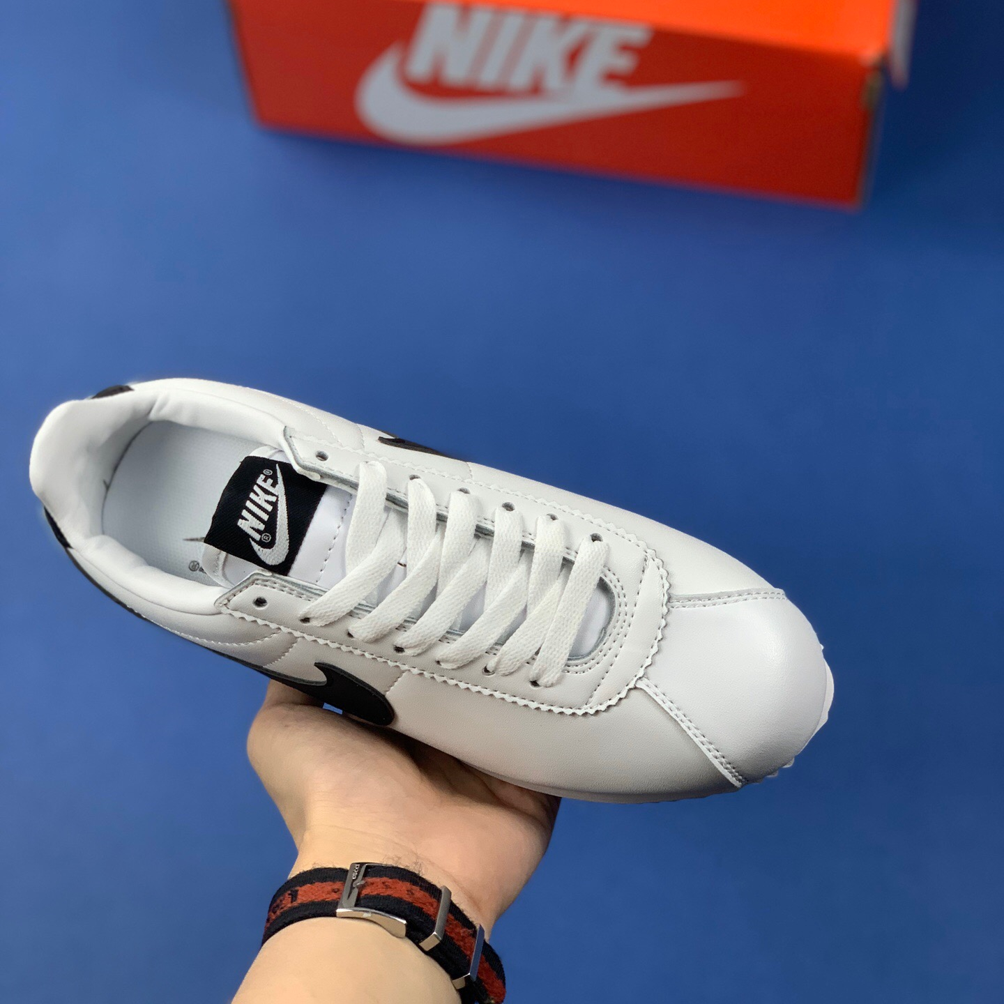 Classic Cortez Se SIZE:EU38.5-EU44