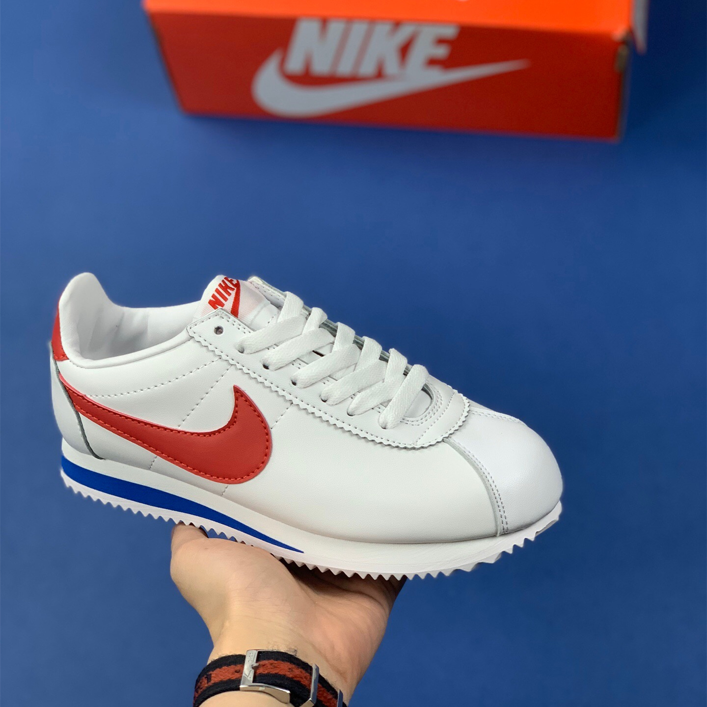 Classic Cortez Se SIZE:EU38.5-EU44
