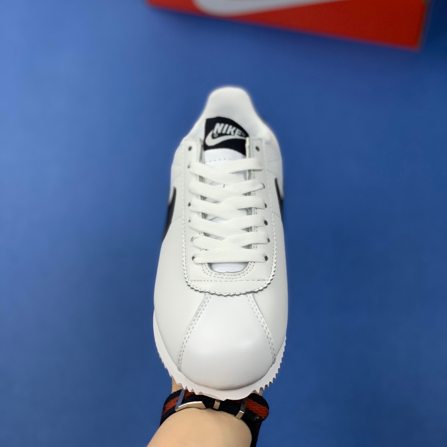 Classic Cortez Se SIZE:EU38.5-EU44