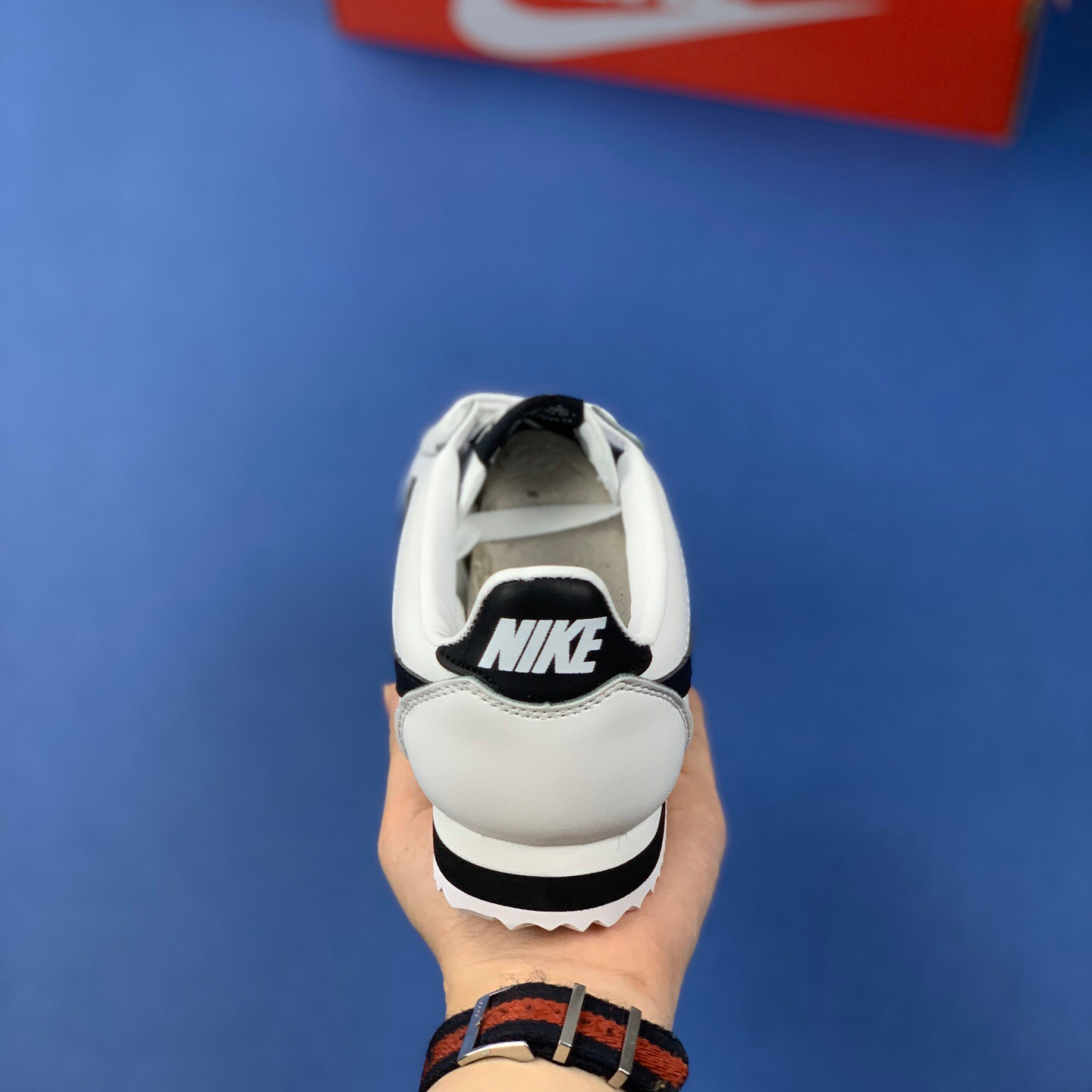 Classic Cortez Se SIZE:EU38.5-EU44