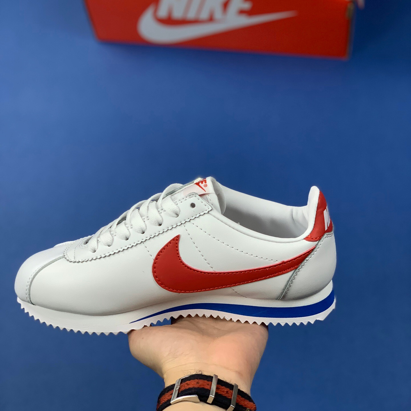 Classic Cortez Se SIZE:EU38.5-EU44