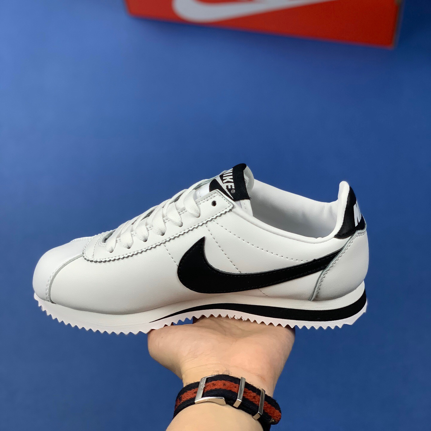 Classic Cortez Se SIZE:EU38.5-EU44
