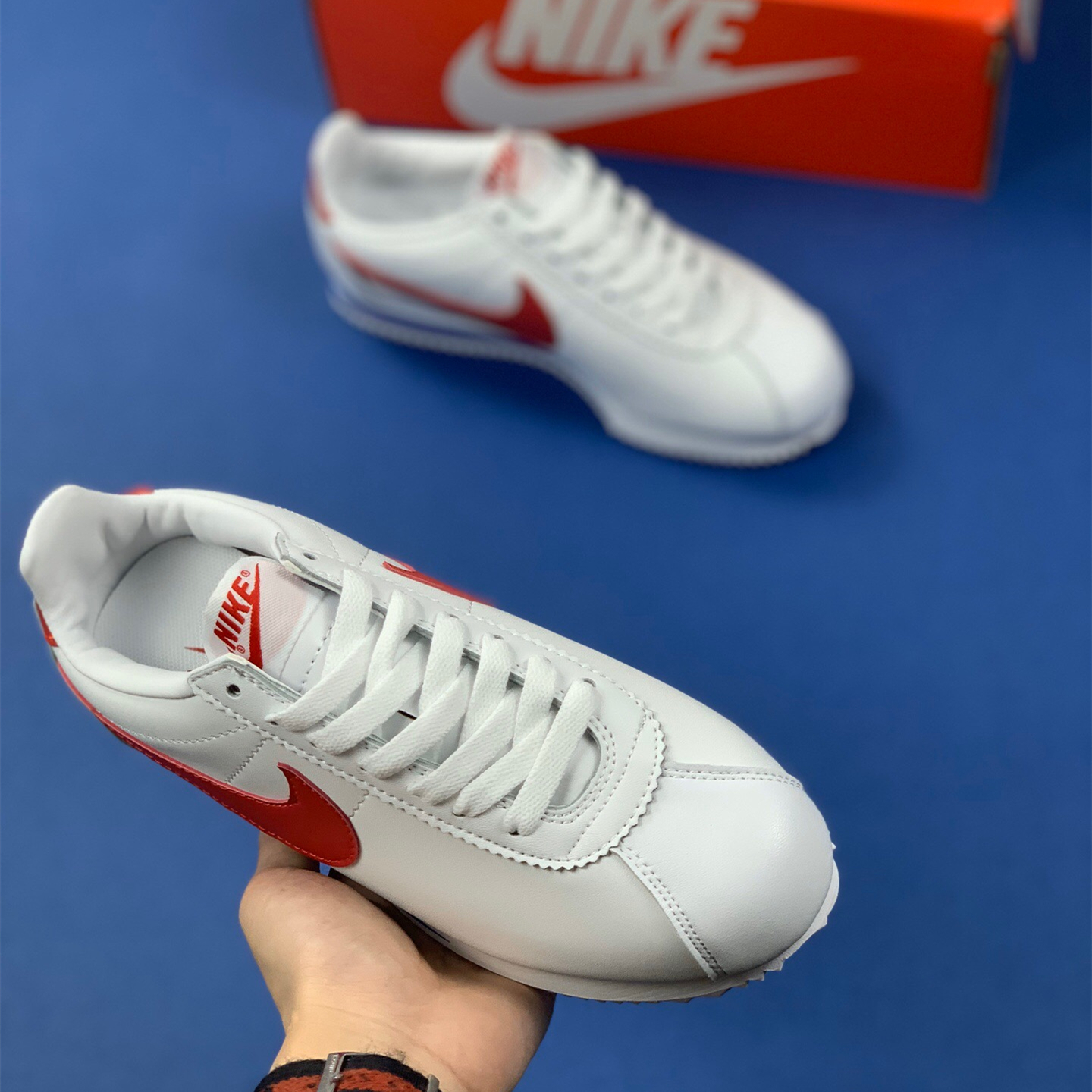 Classic Cortez Se SIZE:EU38.5-EU44