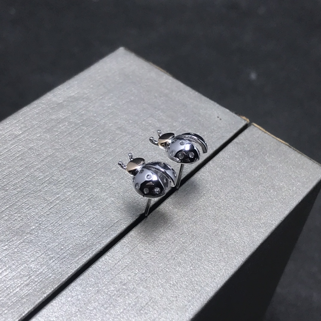 Earrings Collection   women jewelry