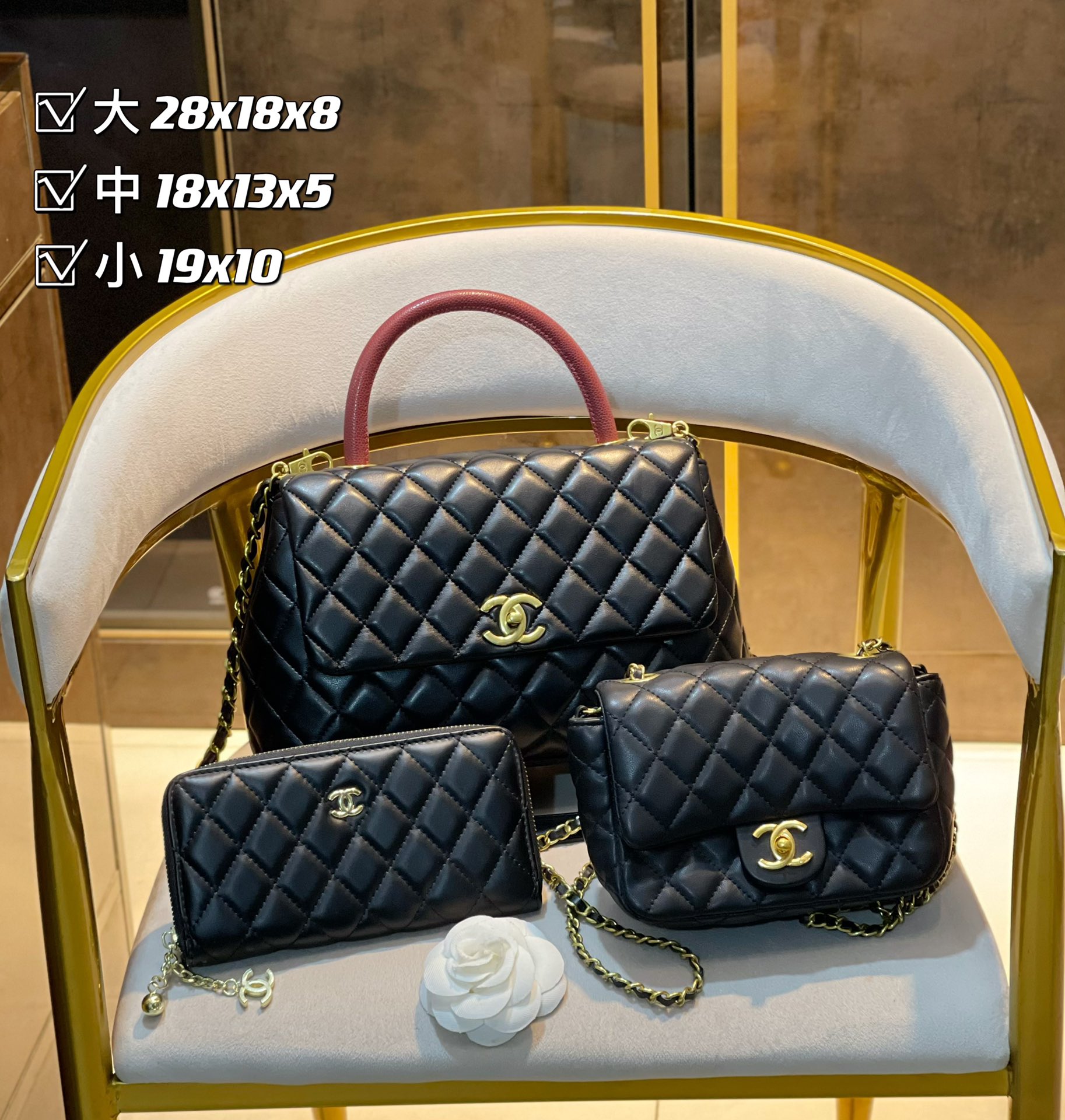 3in1 high quality Fashion Ladies Bags