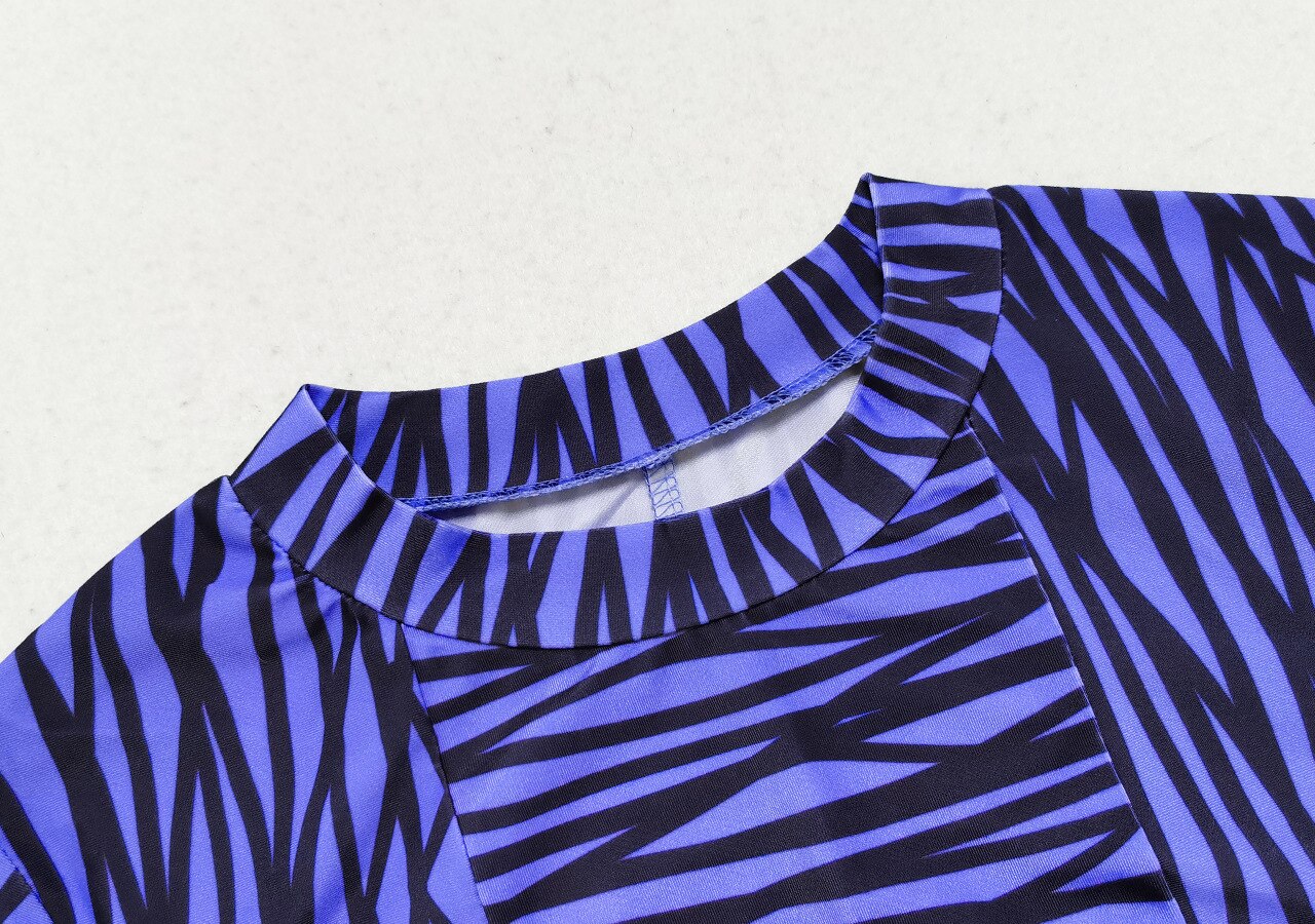 Zebra Print Swimsuit Long Sleeve Blue Swimwear Hijab Women 3 Piece Set Muslim Swimwear Burkini Ladies Rashguard Surf Swimsuit