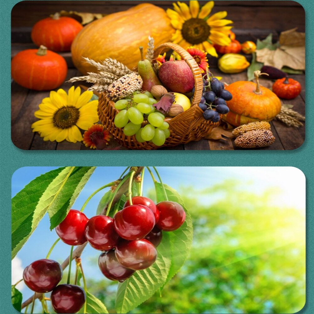 5AA Toner chip powder for Lexmark CX310DN CX310N CX410 CX410DE CX410DTE CX410E CX510 CX510DE CX510DHE CX510DTHE CX310 CX410