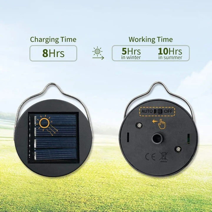 Retro Owl Solar Lantern