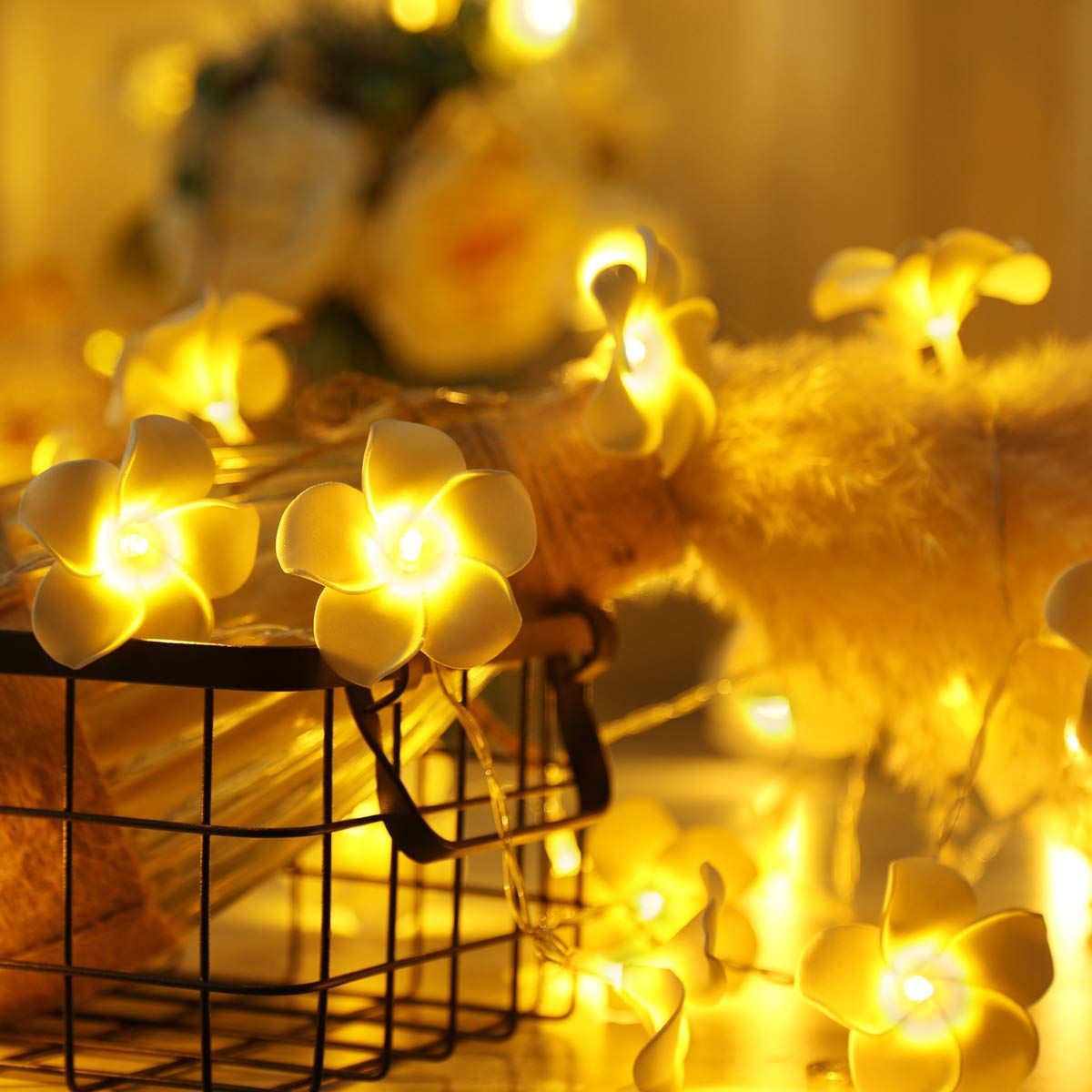 Plumeria Flower Fairy Light