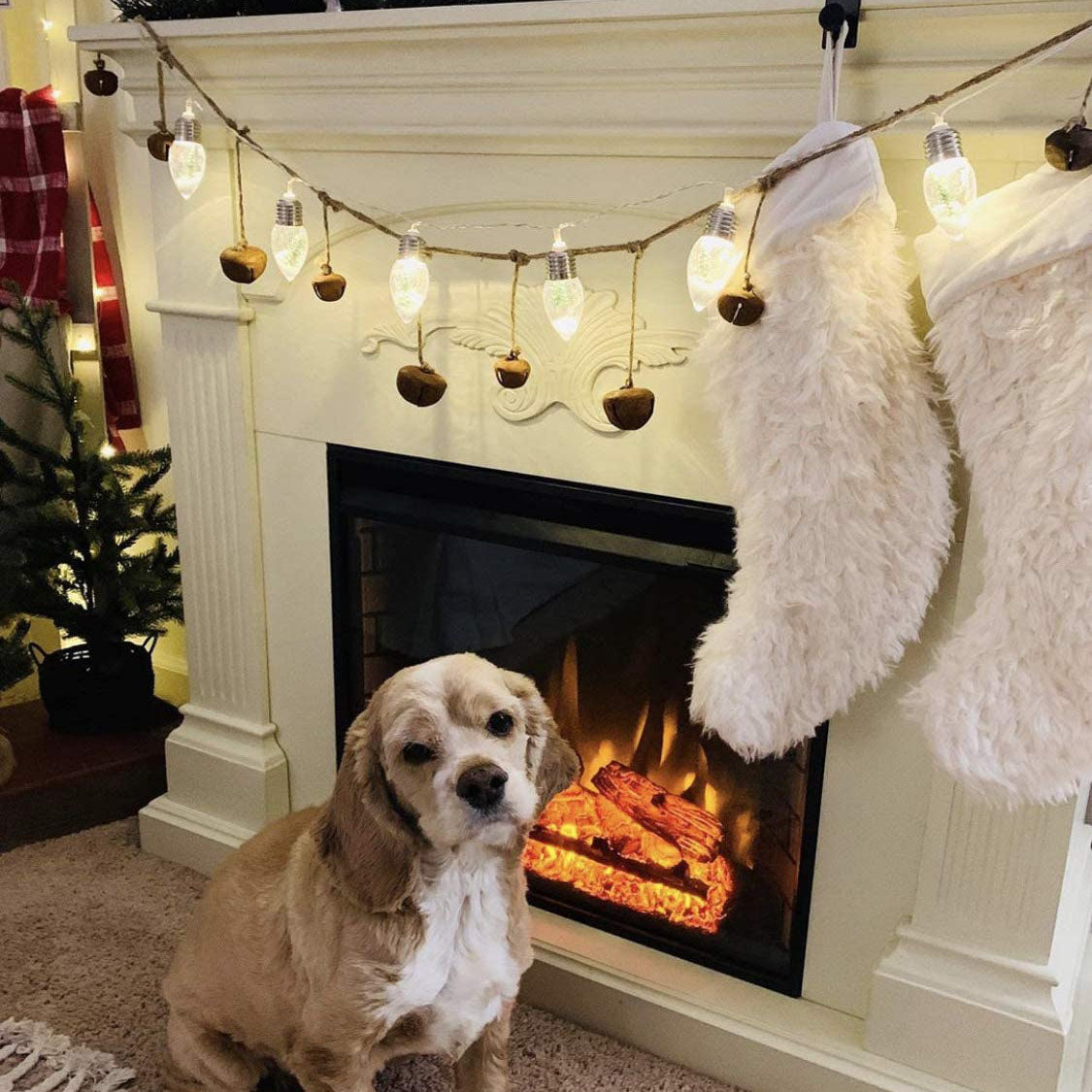 Christmas Tree String Light