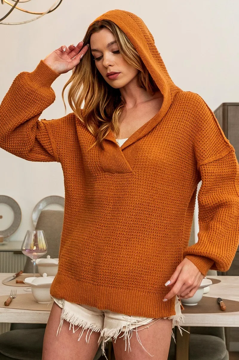 BiBi Raw Edge Detail V-Neck Sweater Hoodie